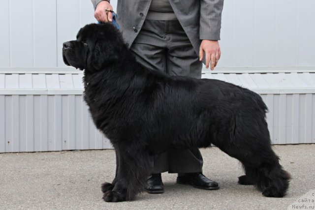 Фотография № 112411