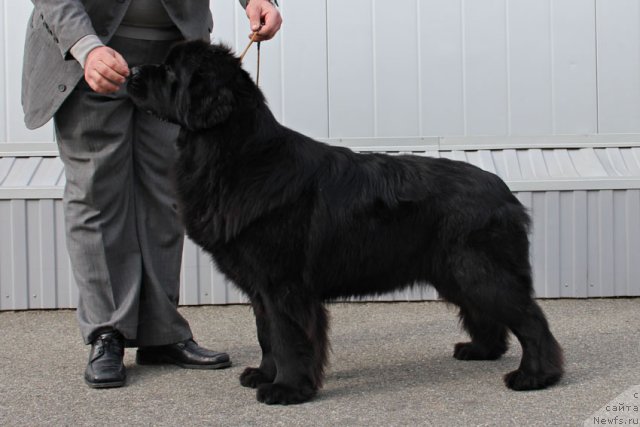 Фотография № 112412