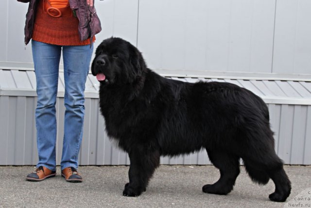 Фотография № 112413