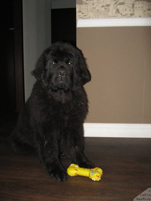 Фотография № 112421