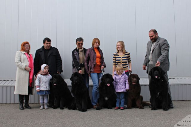 Фотография № 112422