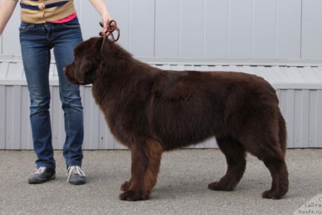 Фотография № 112437