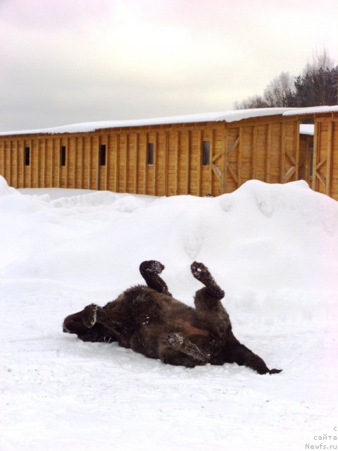 Фотография № 112438