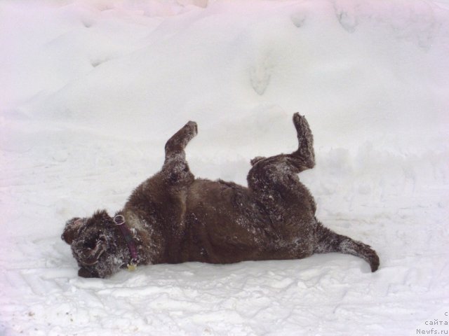 Фотография № 112440