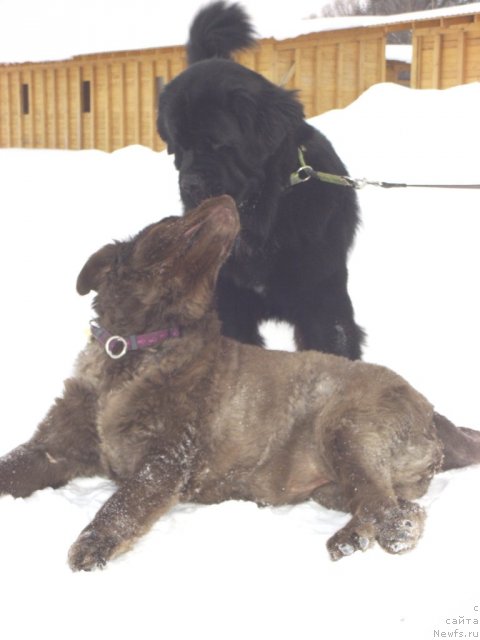 Фотография № 112442