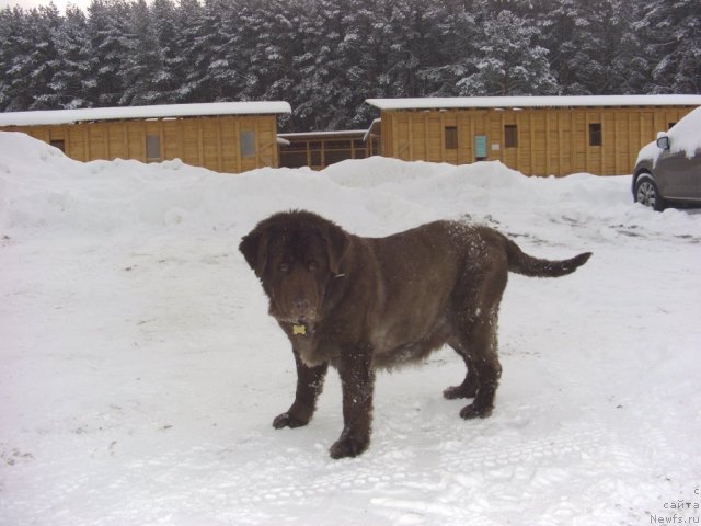 Фотография № 112443