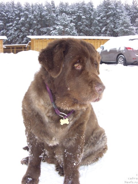 Фотография № 112444