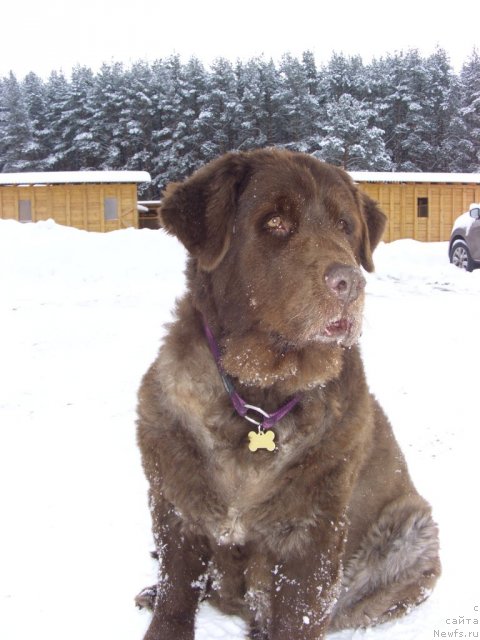 Фотография № 112445