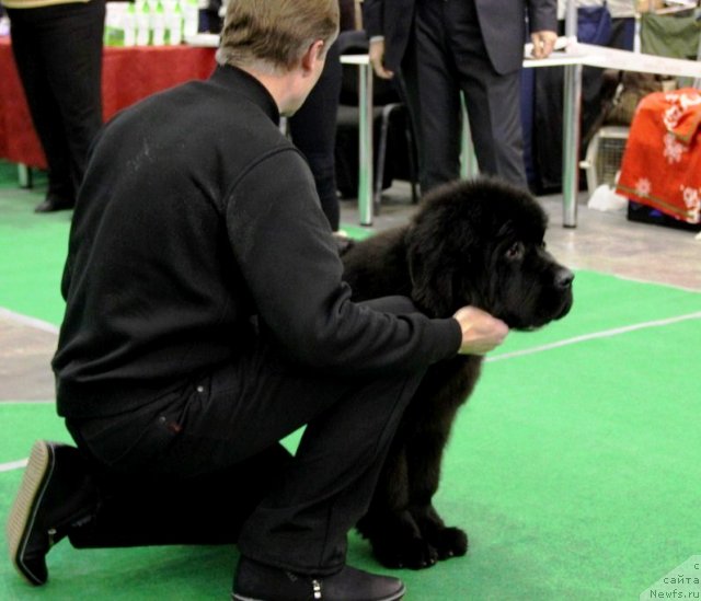 Фотография № 112467