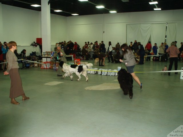 Фотография № 112468