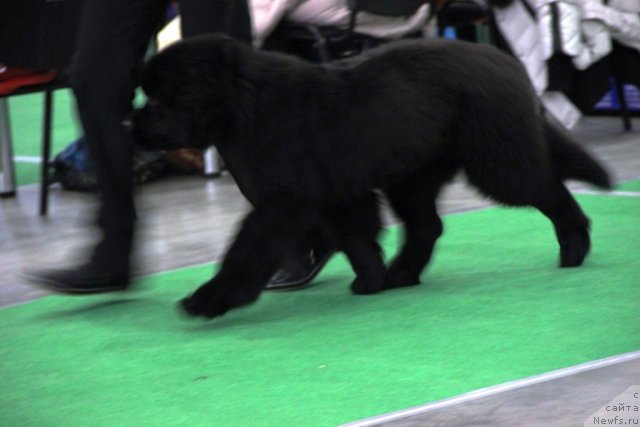 Фотография № 112469