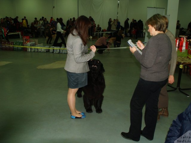 Фотография № 112470