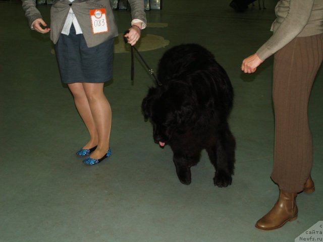 Фотография № 112471