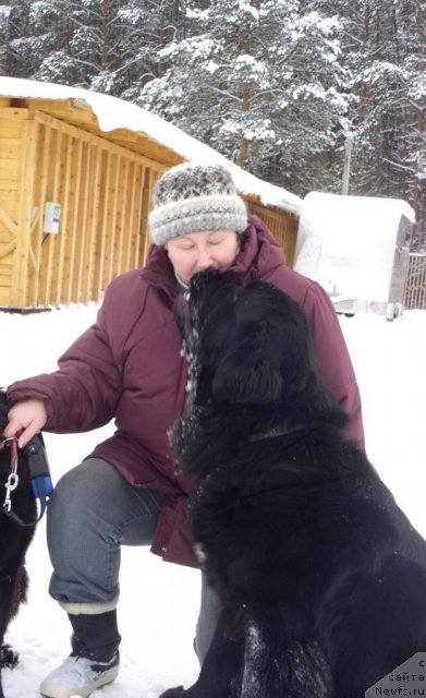 Фотография № 112474