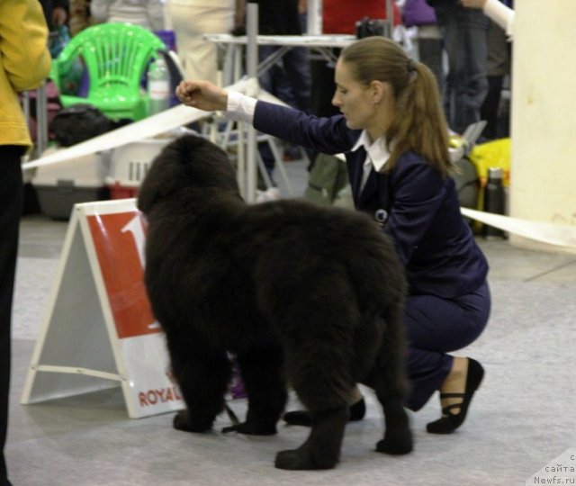 Фотография № 112490