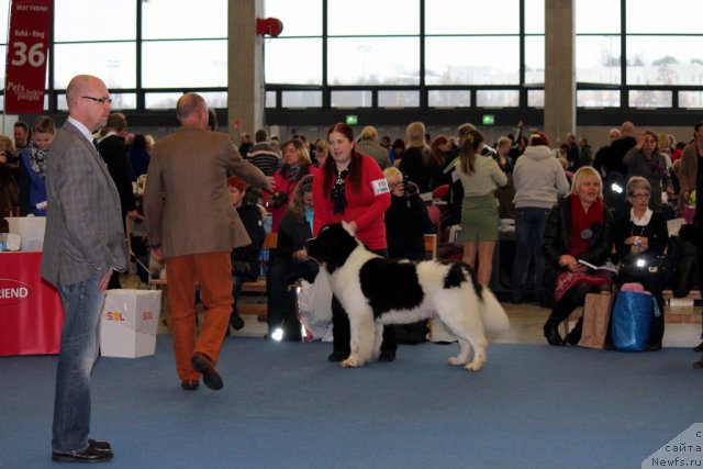 Фотография № 112492