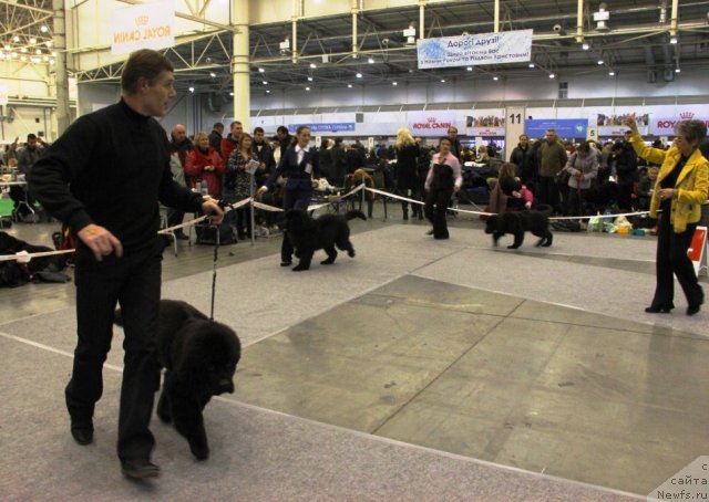 Фотография № 112493