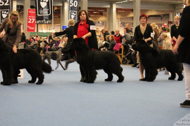 Фотография № 112497