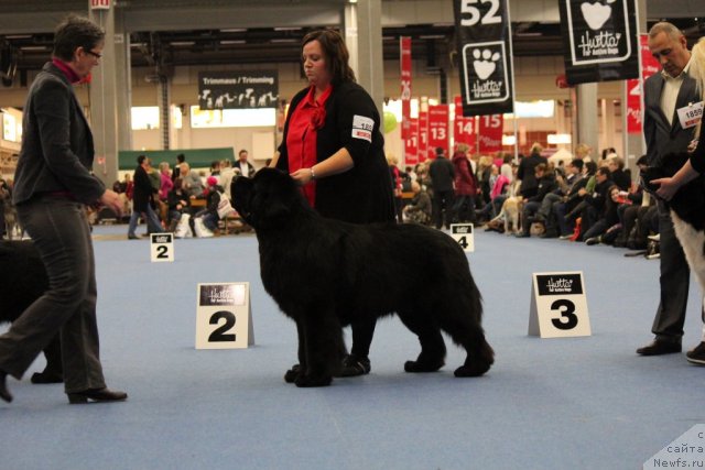 Фотография № 112501