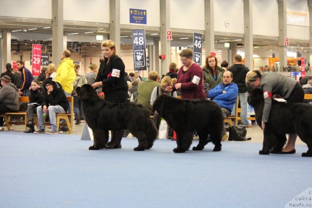 Фотография № 112503