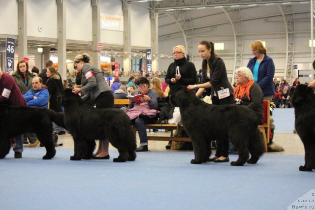 Фотография № 112504