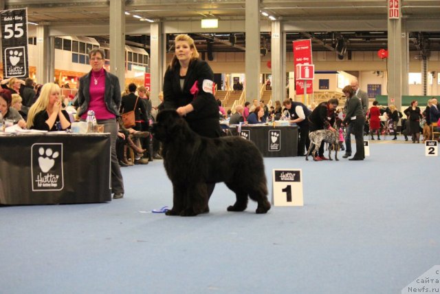 Фотография № 112506