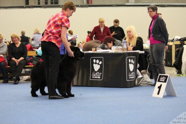 Фотография № 112511