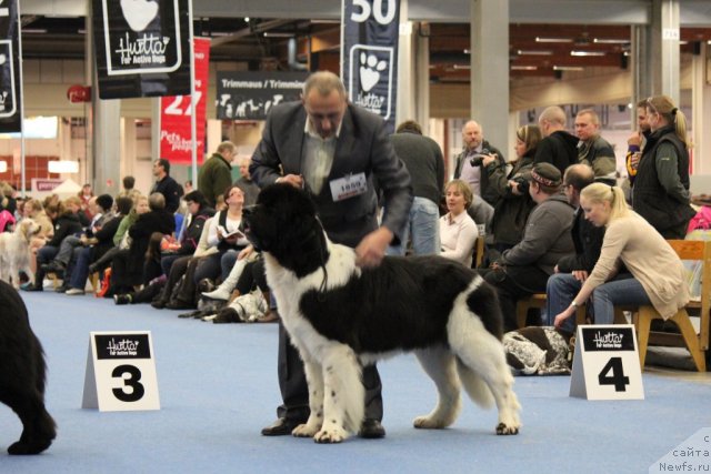 Фотография № 112522