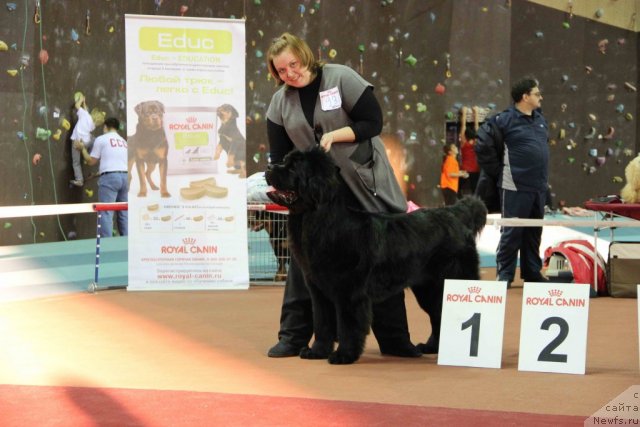 Фотография № 112523