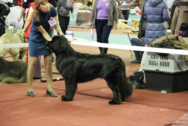 Фотография № 112525