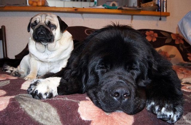 Фотография № 112535