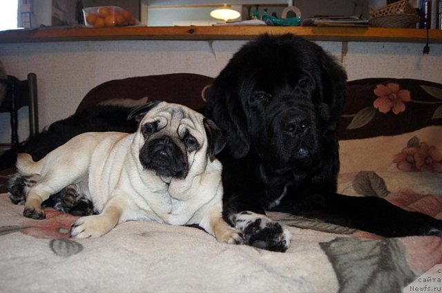 Фотография № 112539