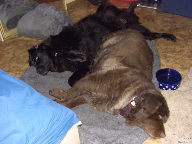 Фотография № 112549