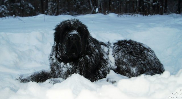 Фотография № 112564