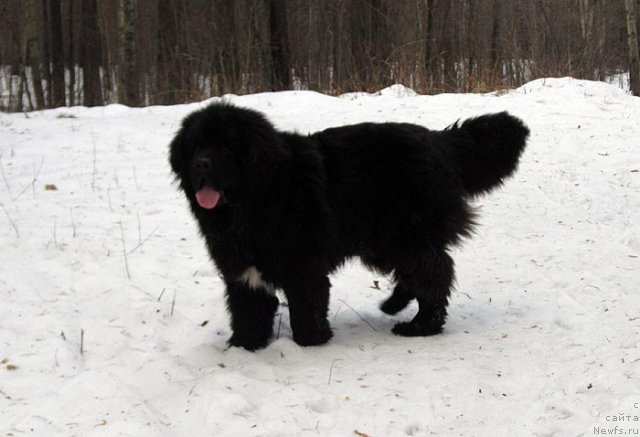 Фотография № 112571