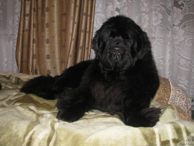 Фотография № 112575