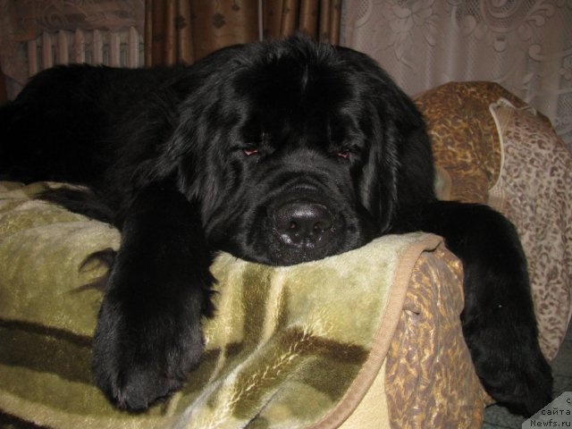 Фотография № 112577