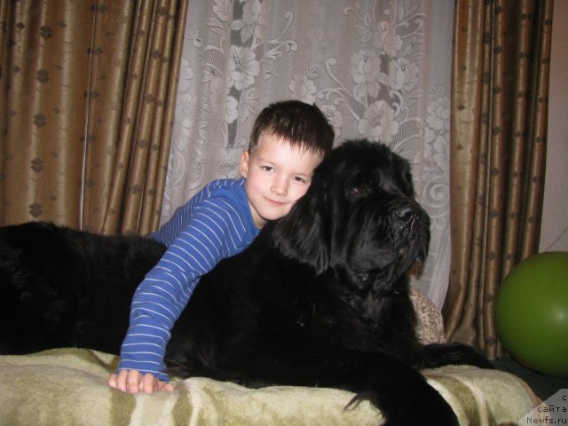 Фотография № 112580