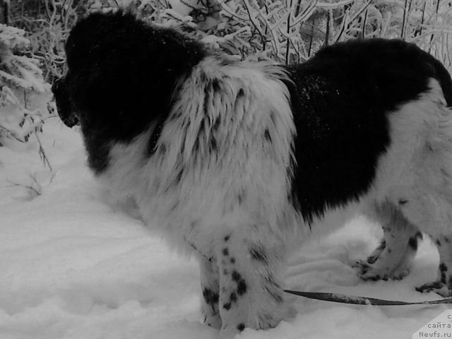 Фотография № 112582