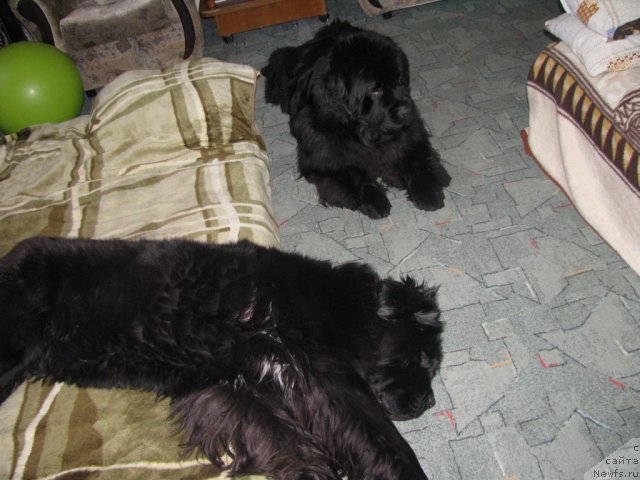 Фотография № 112583