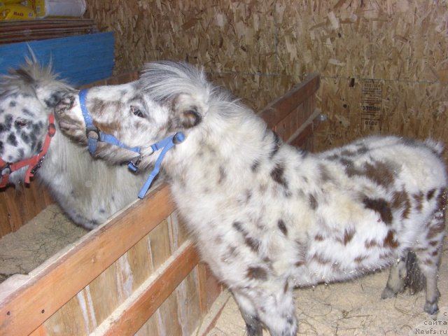 Фотография № 112585