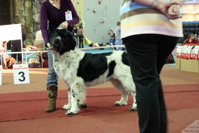 Фотография № 112598