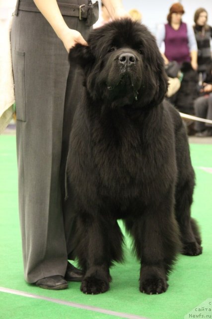 Фотография № 112631