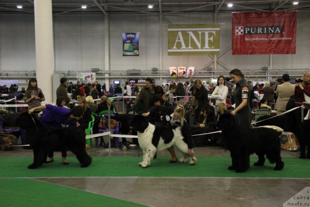 Фотография № 112633