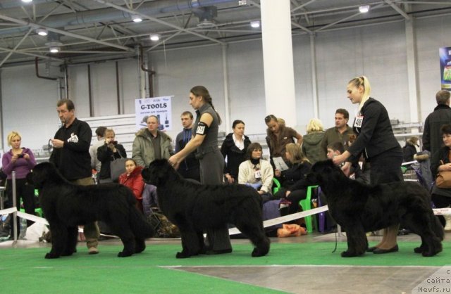 Фотография № 112636