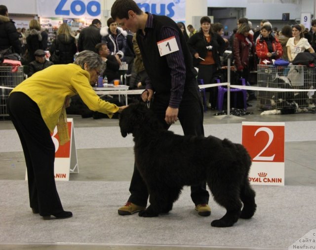 Фотография № 112668