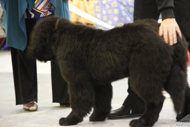 Фотография № 112673