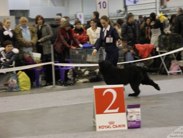 Фотография № 112674