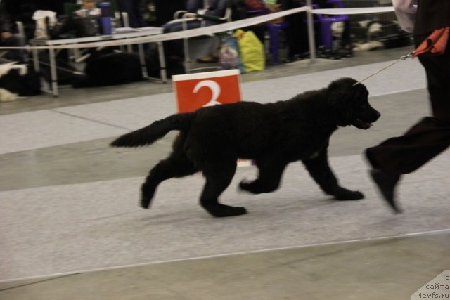 Фотография № 112676