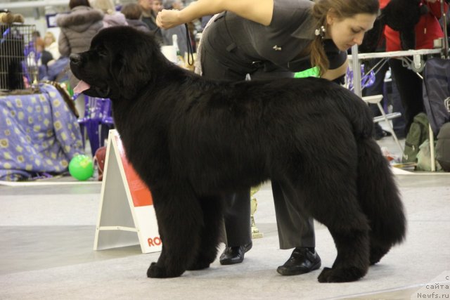 Фотография № 112684